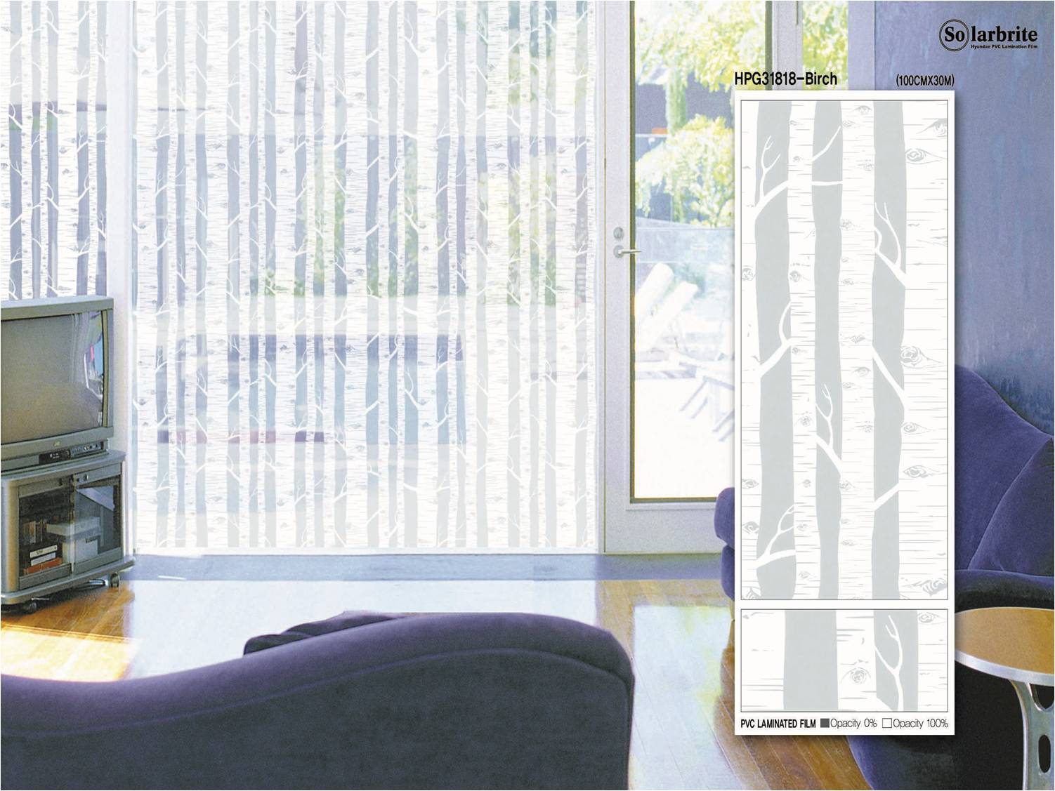 HPG31818 Decorative film